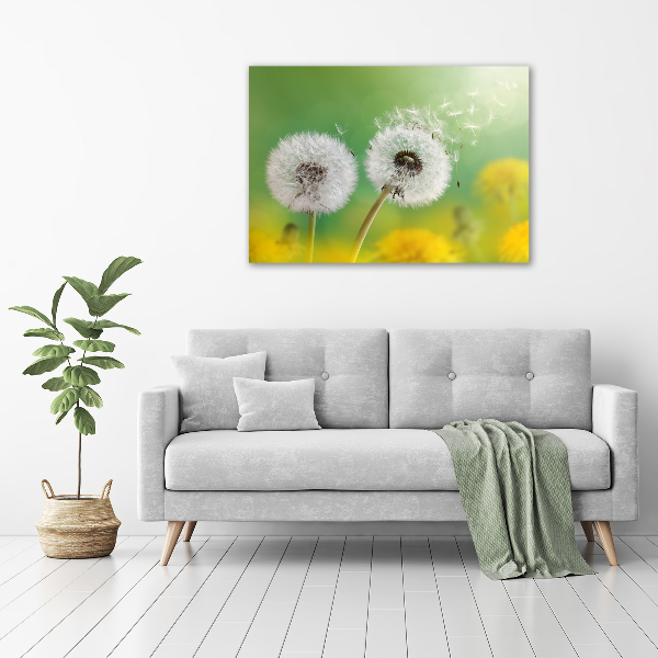 Acrylic wall art dandelions