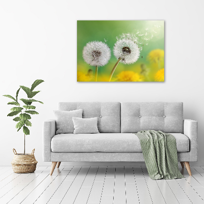 Acrylic wall art dandelions