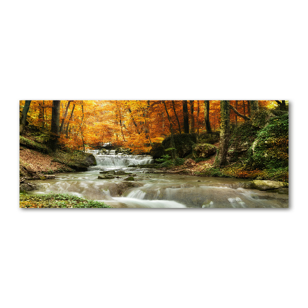 Acrylic print Waterfall in the forest