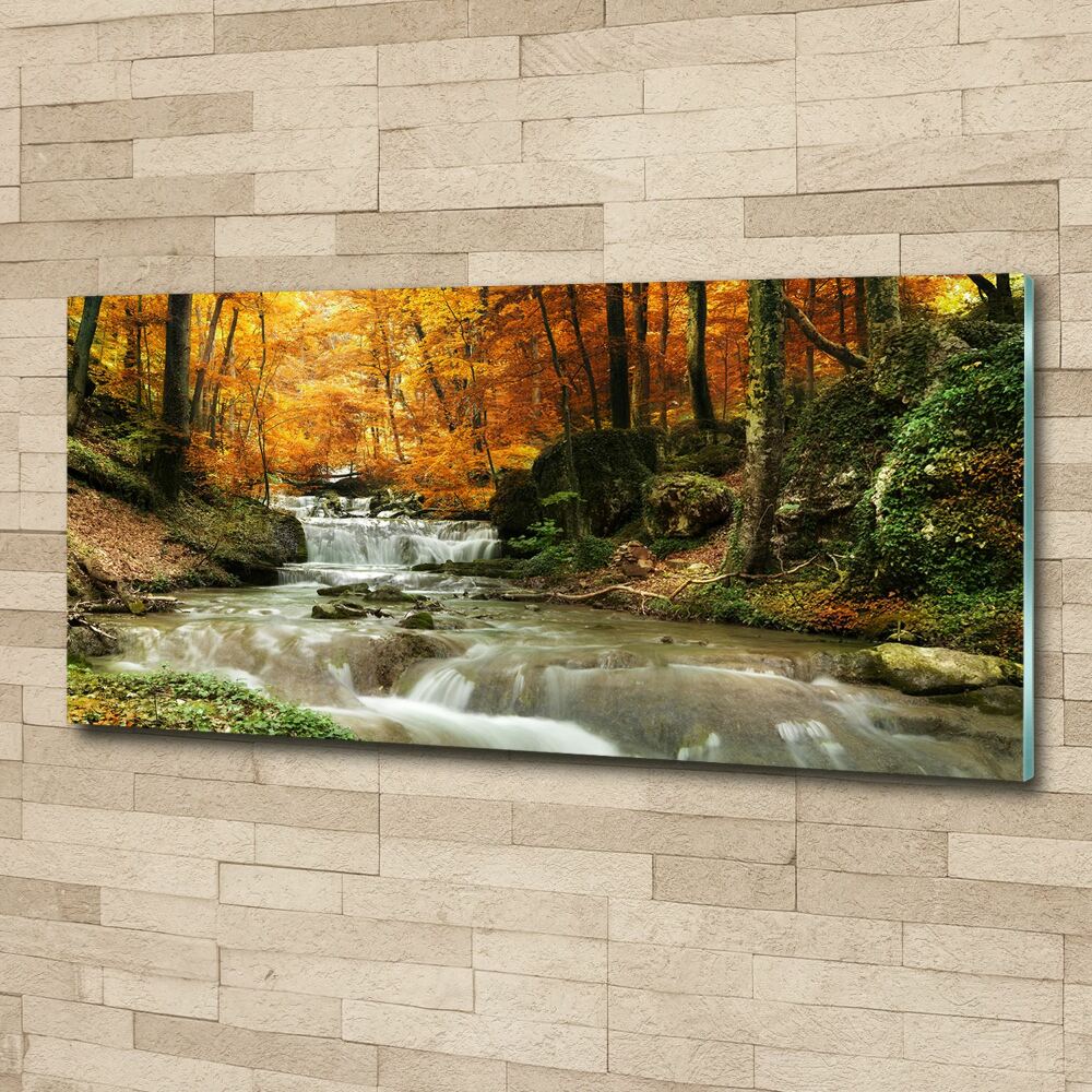 Acrylic print Waterfall in the forest