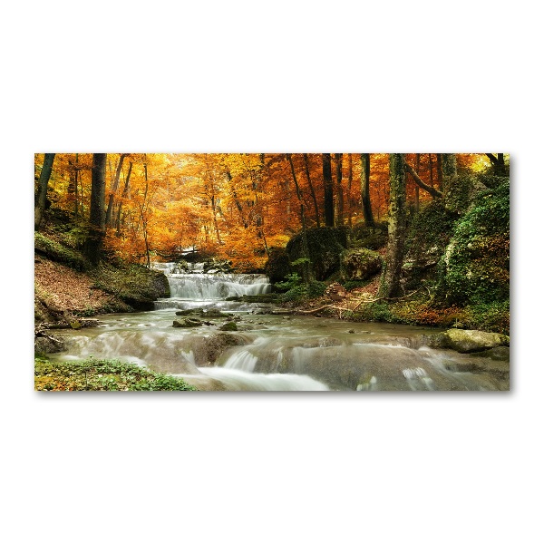 Acrylic print Waterfall in the forest