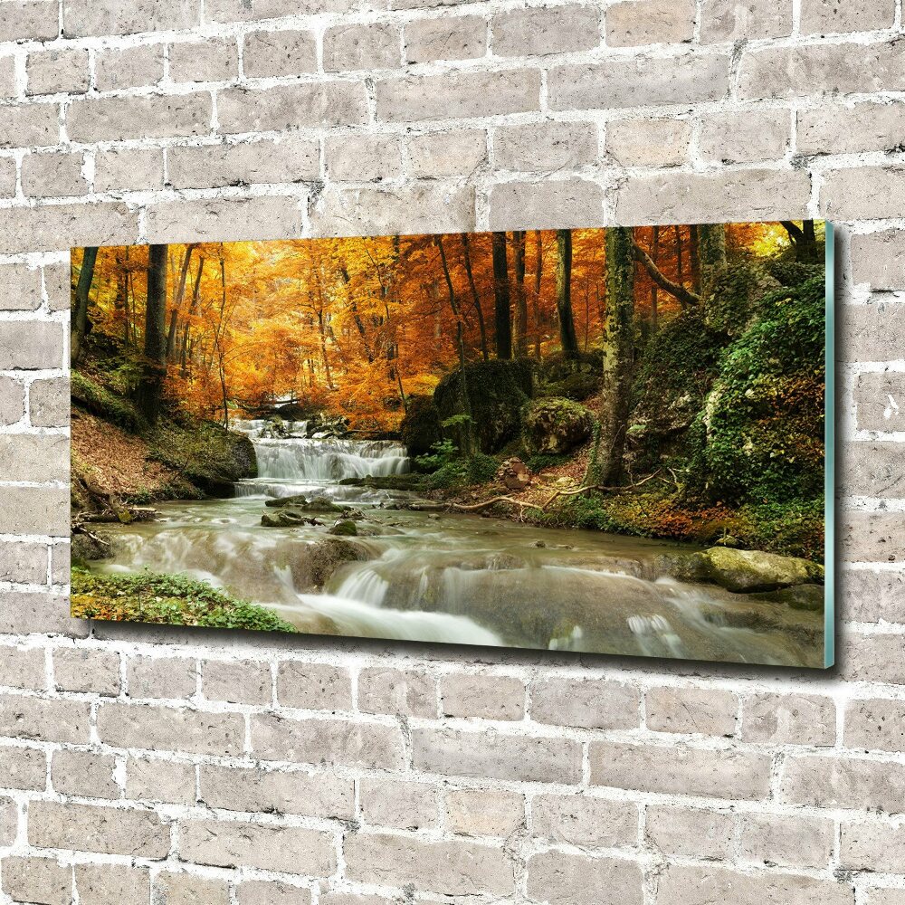 Acrylic print Waterfall in the forest