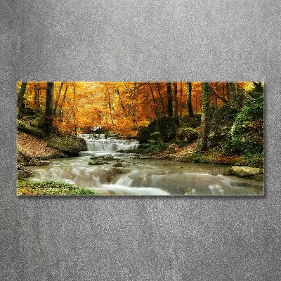 Acrylic print Waterfall in the forest