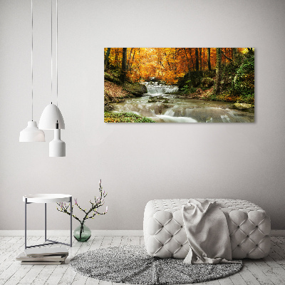 Acrylic print Waterfall in the forest