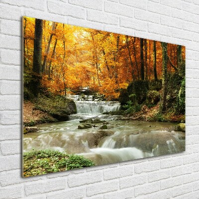 Acrylic print Waterfall in the forest