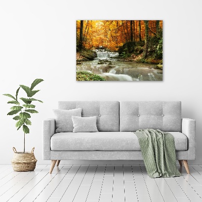 Acrylic print Waterfall in the forest