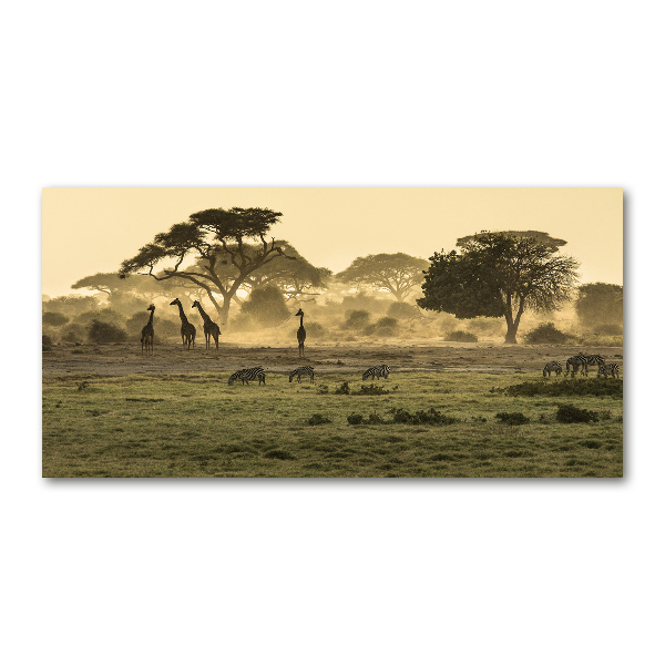 Glass acrylic wall art Giraffes in the savanna