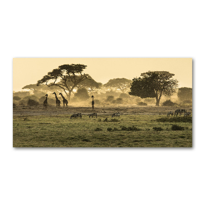 Glass acrylic wall art Giraffes in the savanna