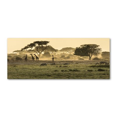 Glass acrylic wall art Giraffes in the savanna