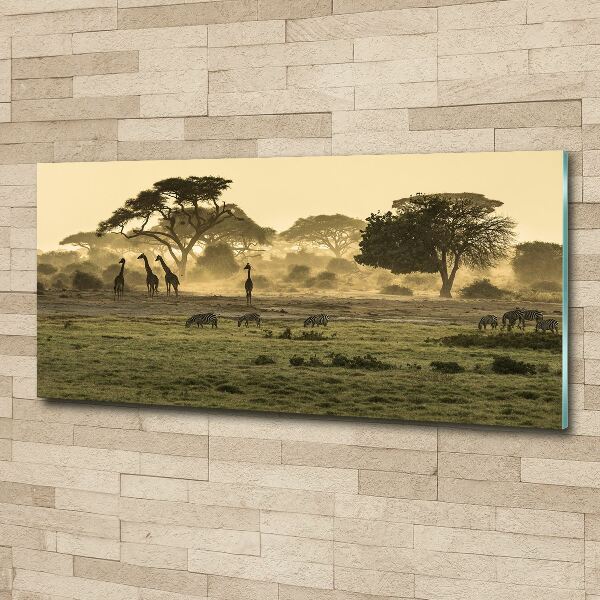 Glass acrylic wall art Giraffes in the savanna