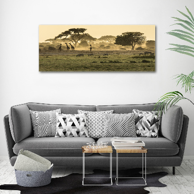 Glass acrylic wall art Giraffes in the savanna