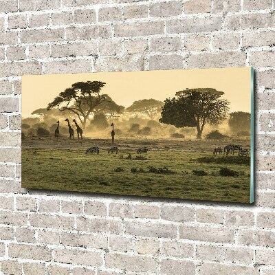 Glass acrylic wall art Giraffes in the savanna