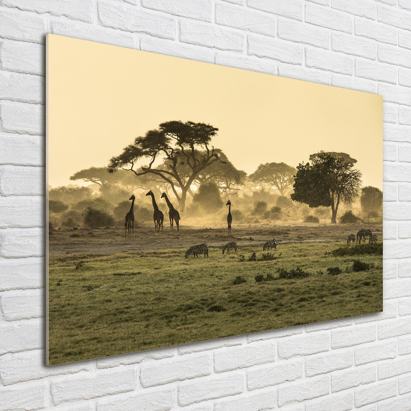 Glass acrylic wall art Giraffes in the savanna