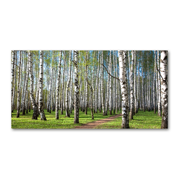 Glass acrylic wall art Birch forest