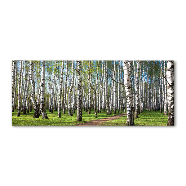 Glass acrylic wall art Birch forest