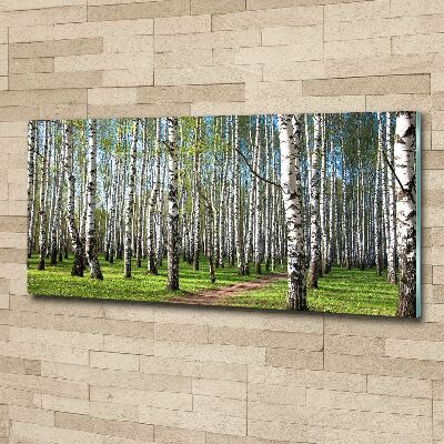 Glass acrylic wall art Birch forest