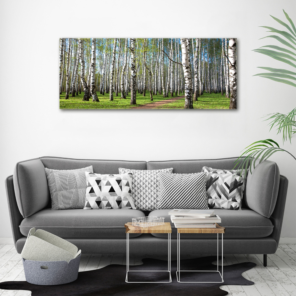 Glass acrylic wall art Birch forest