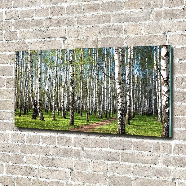 Glass acrylic wall art Birch forest