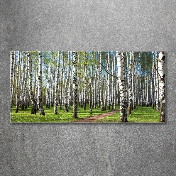 Glass acrylic wall art Birch forest