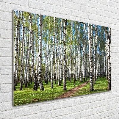 Glass acrylic wall art Birch forest