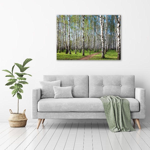 Glass acrylic wall art Birch forest