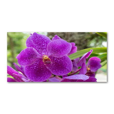 Acrylic wall art Orchid