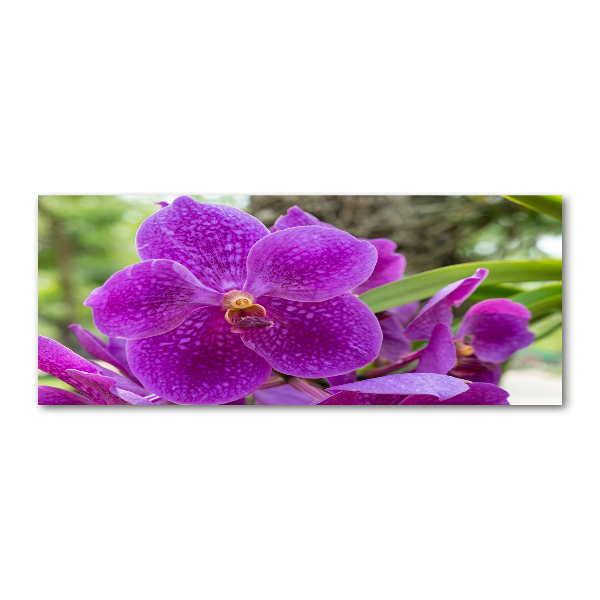 Acrylic wall art Orchid