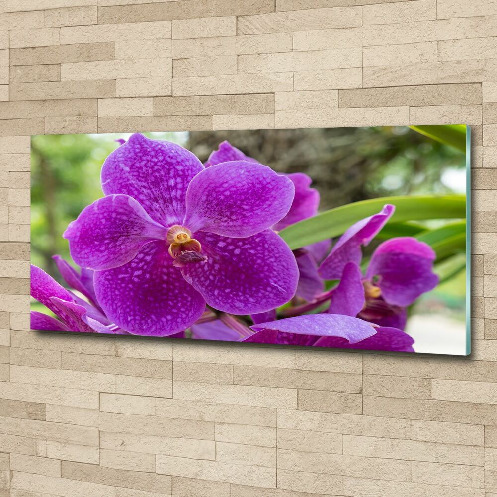 Acrylic wall art Orchid