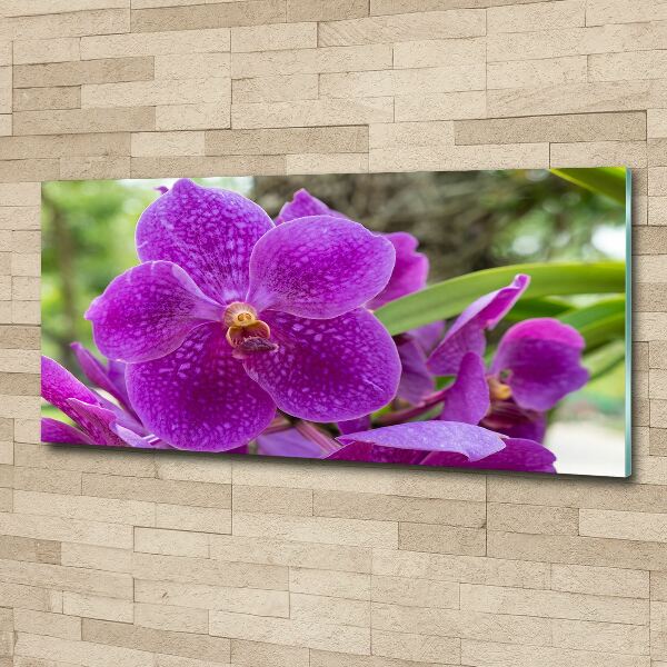 Acrylic wall art Orchid