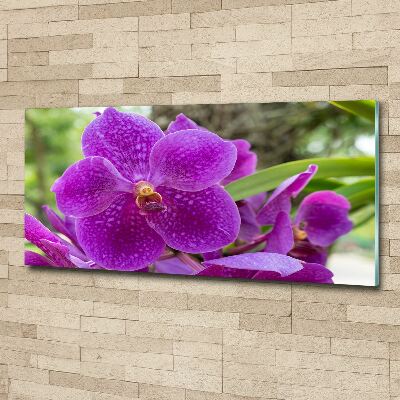 Acrylic wall art Orchid