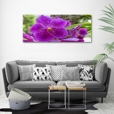 Acrylic wall art Orchid