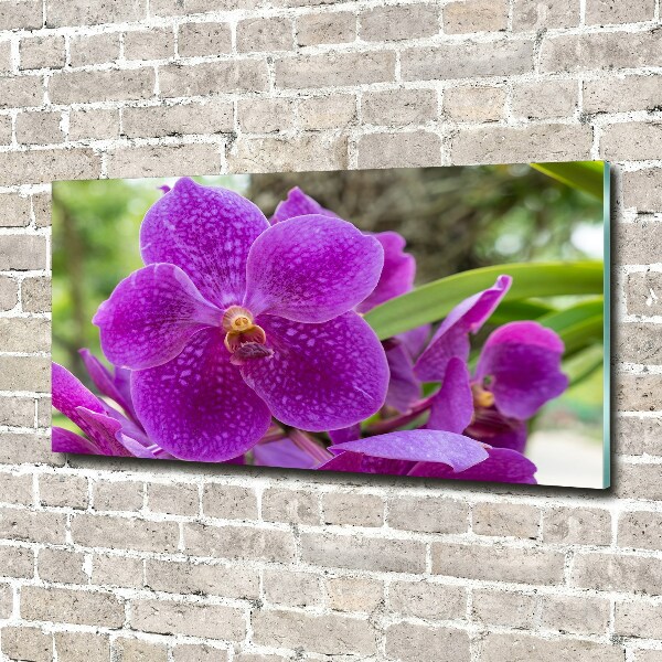 Acrylic wall art Orchid