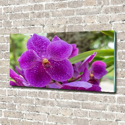 Acrylic wall art Orchid