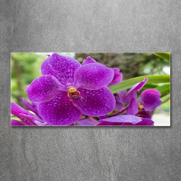 Acrylic wall art Orchid