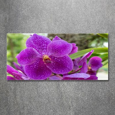 Acrylic wall art Orchid