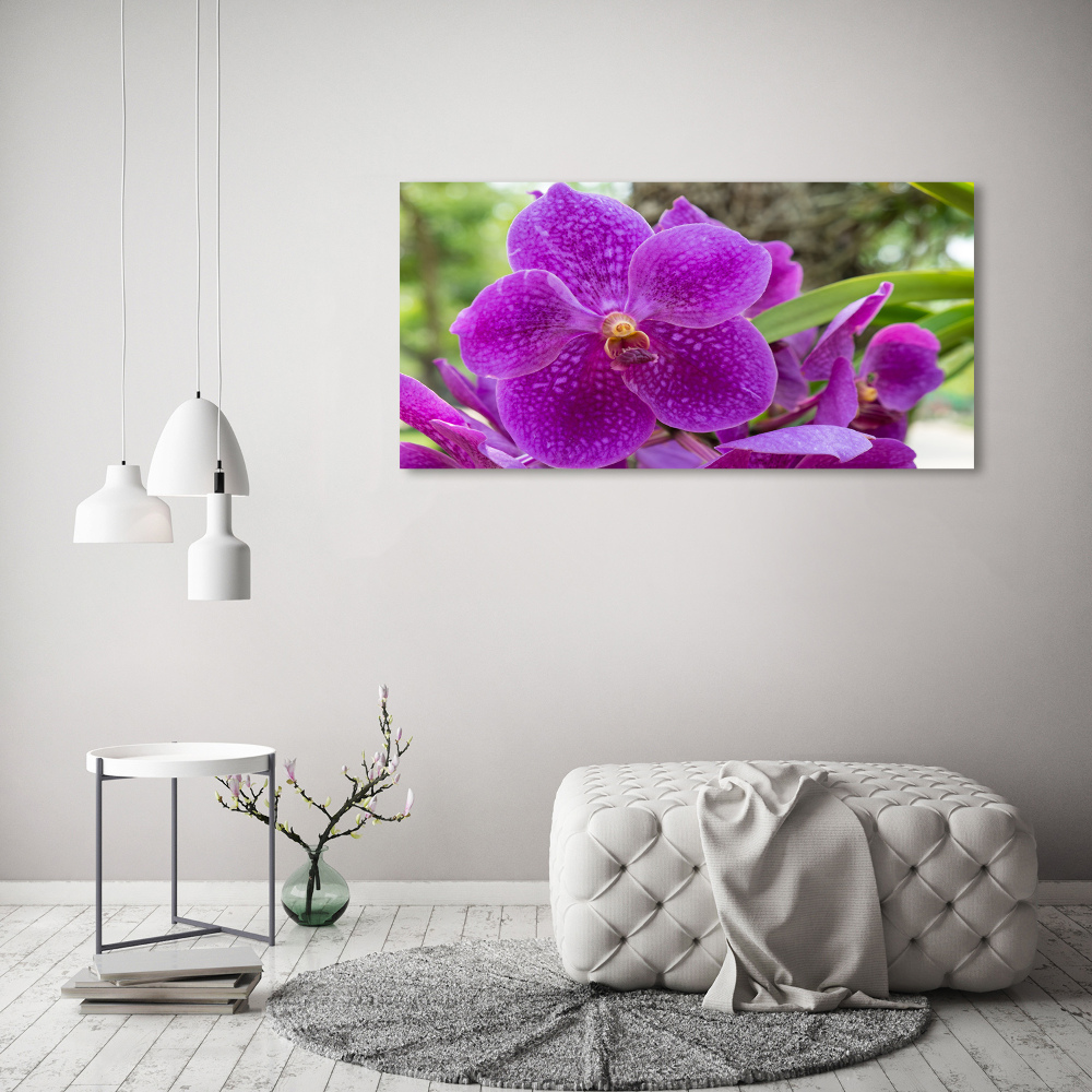 Acrylic wall art Orchid