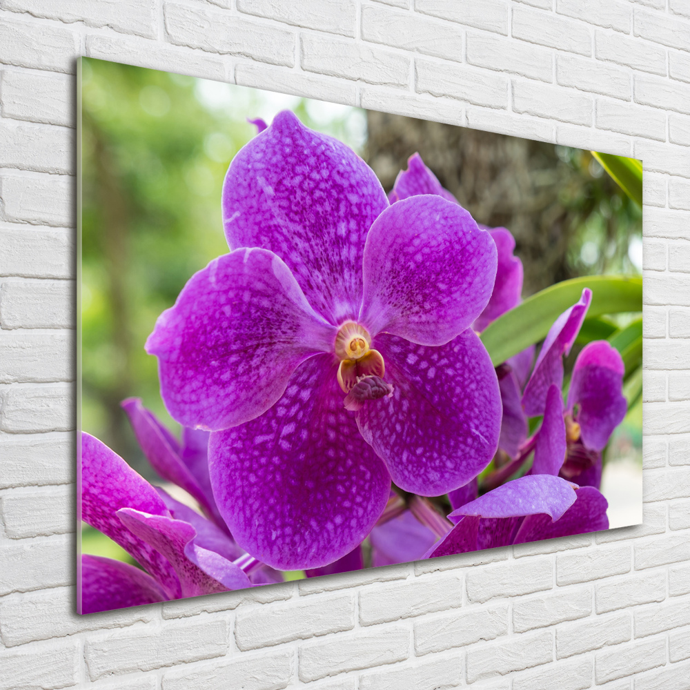 Acrylic wall art Orchid