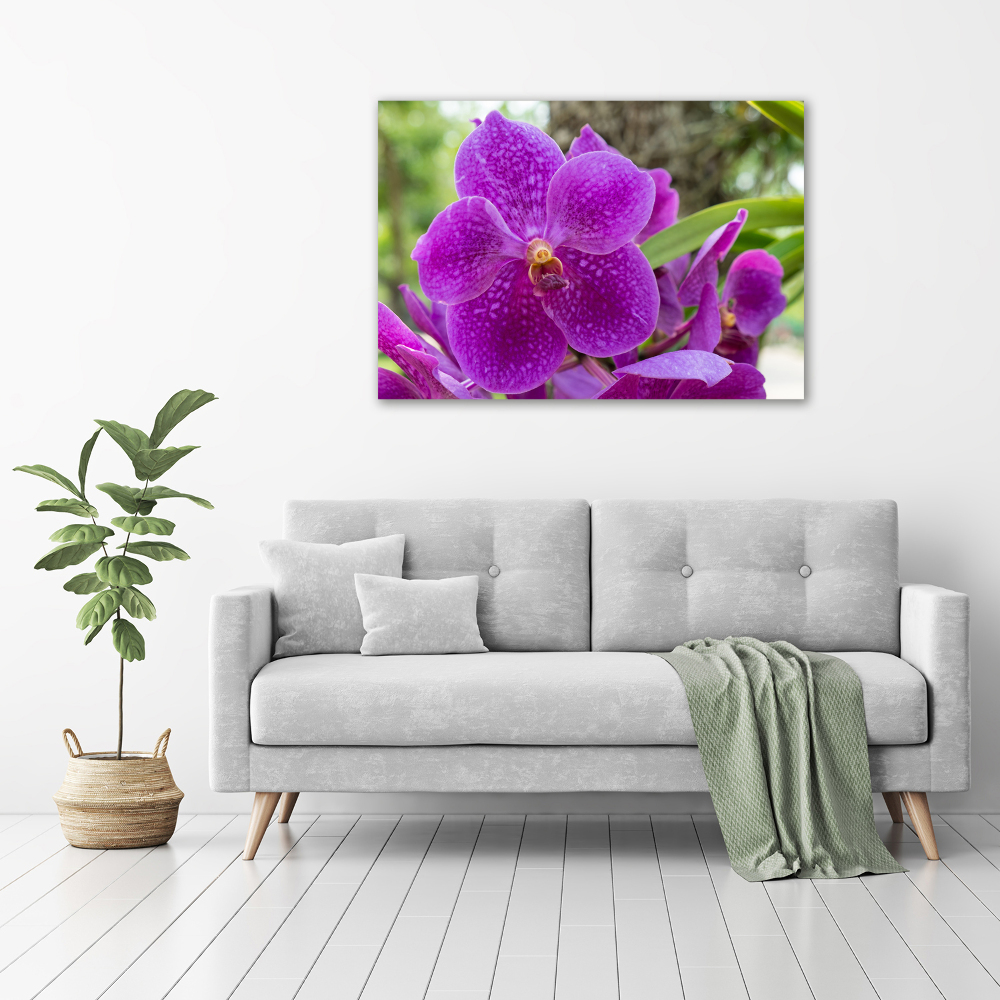 Acrylic wall art Orchid