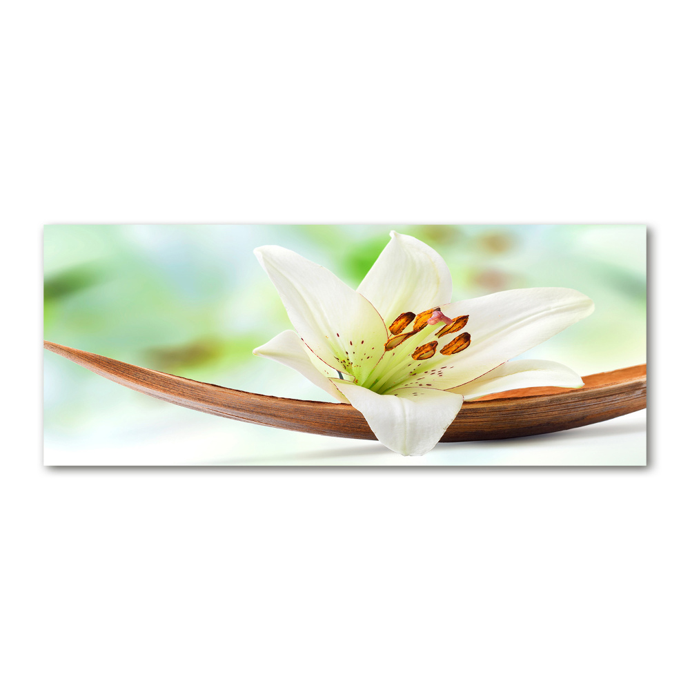 Acrylic wall art Lily