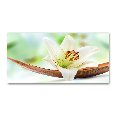 Acrylic wall art Lily