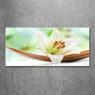 Acrylic wall art Lily