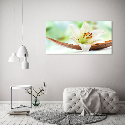 Acrylic wall art Lily