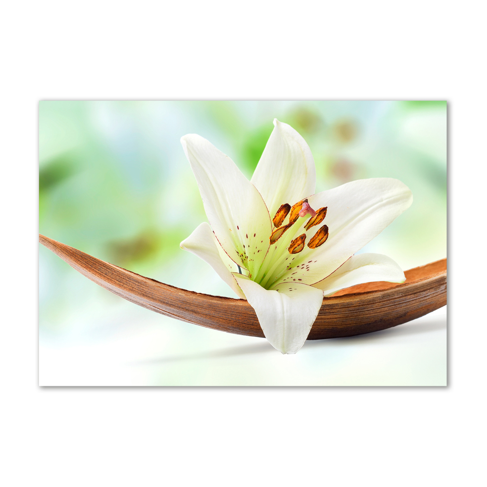 Acrylic wall art Lily