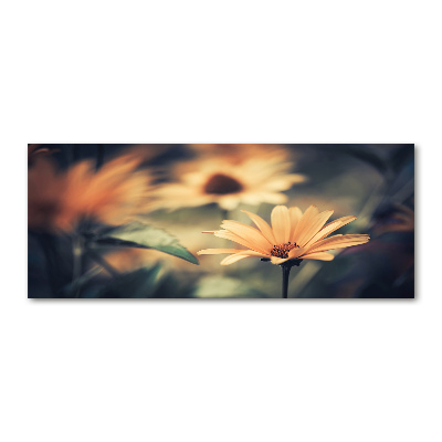 Acrylic print Spring flower