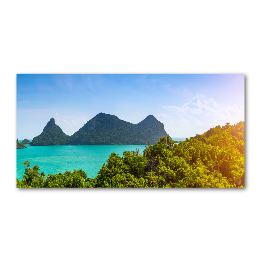 Glass acrylic wall art Panorama Thailand