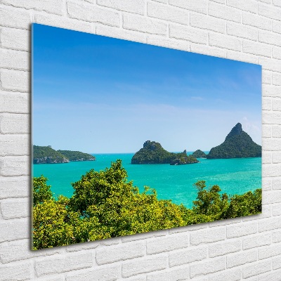 Glass acrylic wall art Panorama Thailand