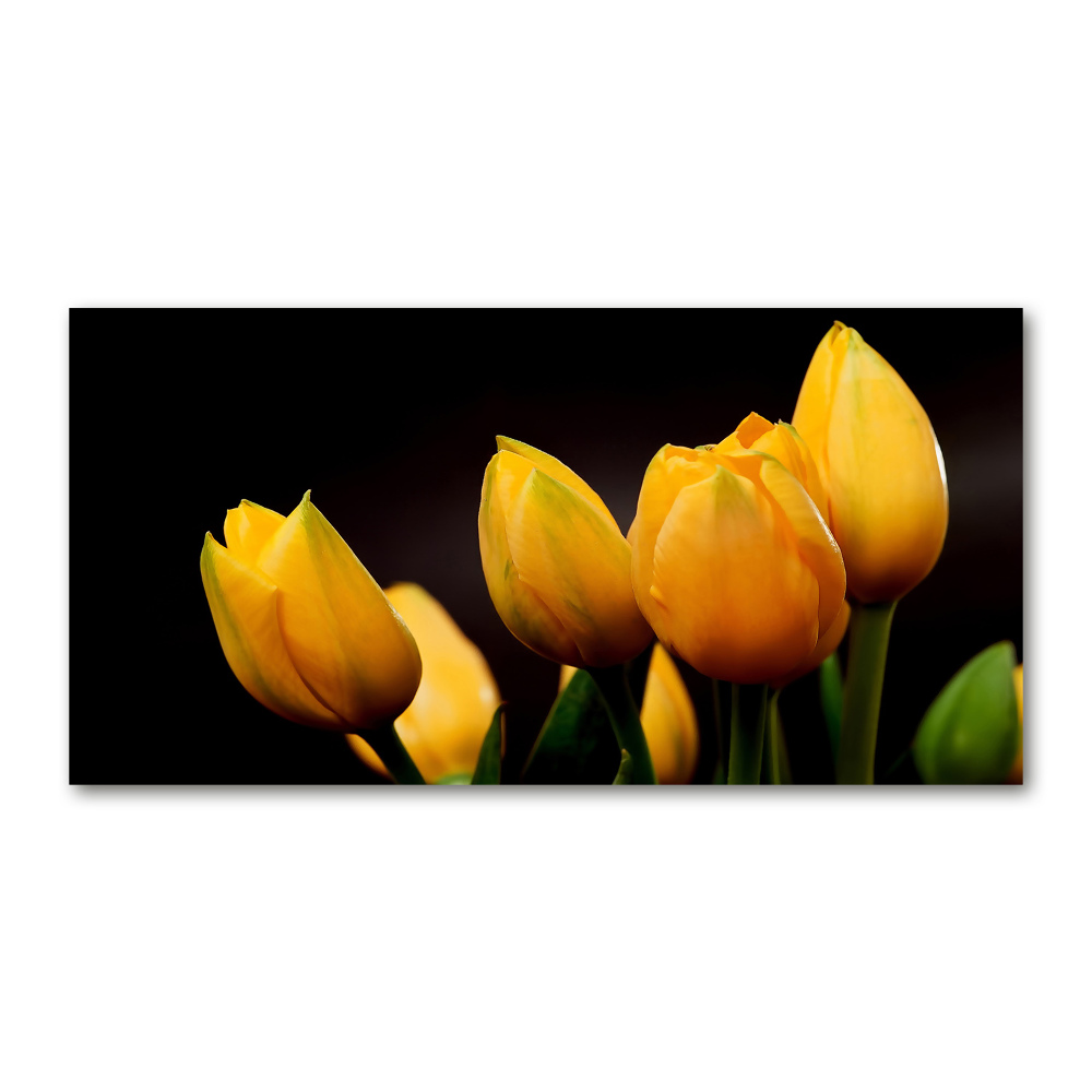 Acrylic print Yellow tulips