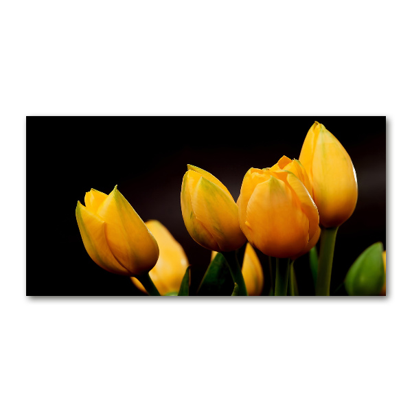 Acrylic print Yellow tulips