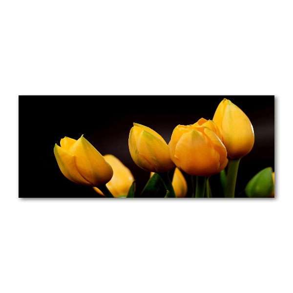 Acrylic print Yellow tulips