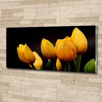 Acrylic print Yellow tulips